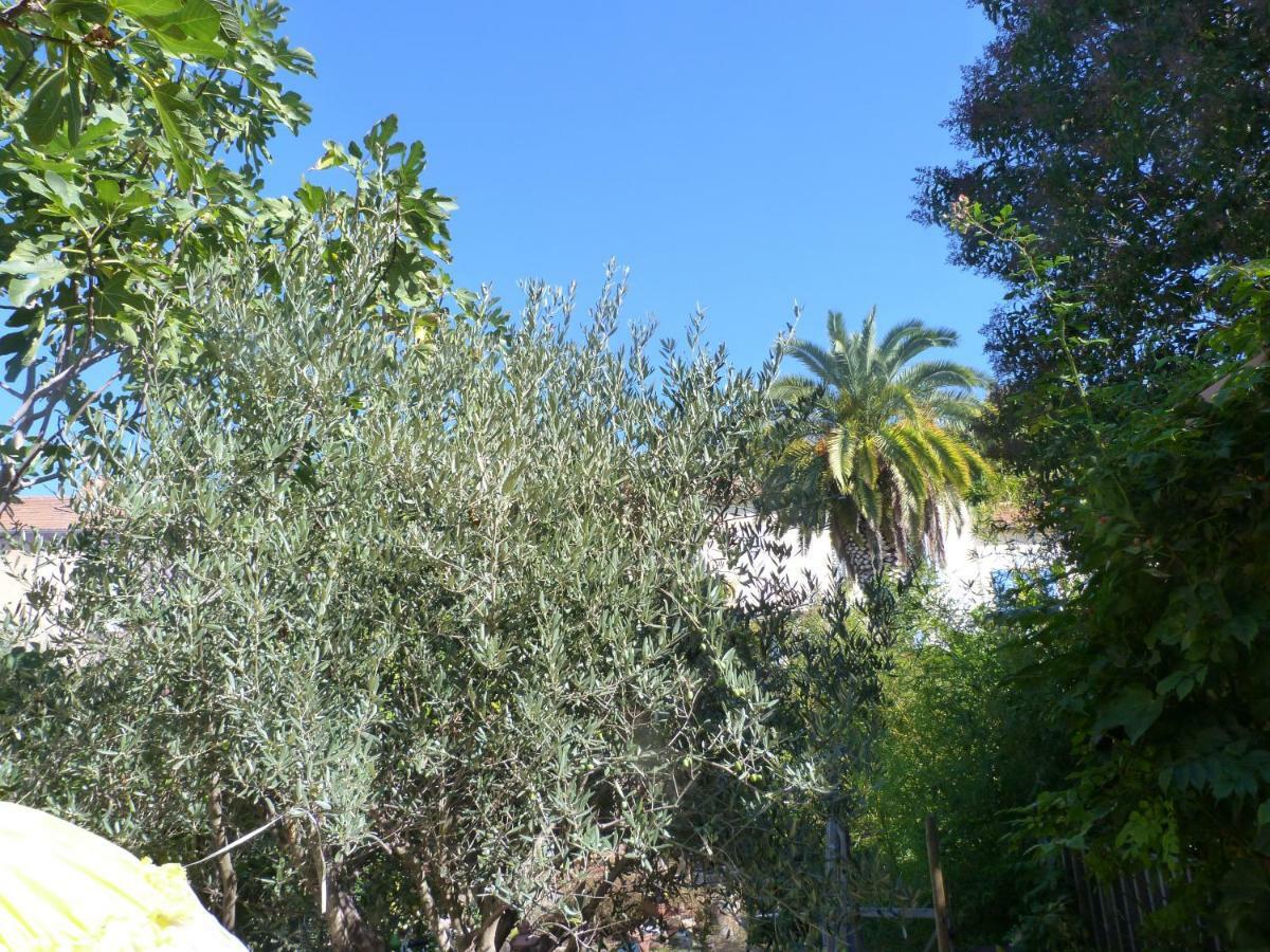 La Summer House Avec Jardin Arles Kültér fotó